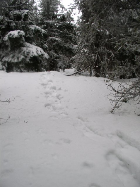 Ghost Ridge-Twin Lakes 076 